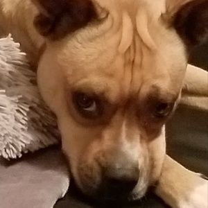 Meet your Posher, Jess